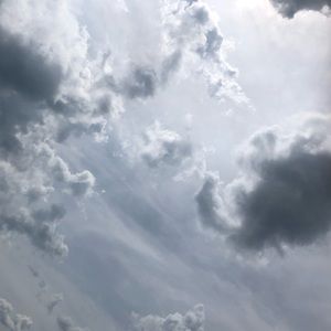 Meet your Posher, Peyton